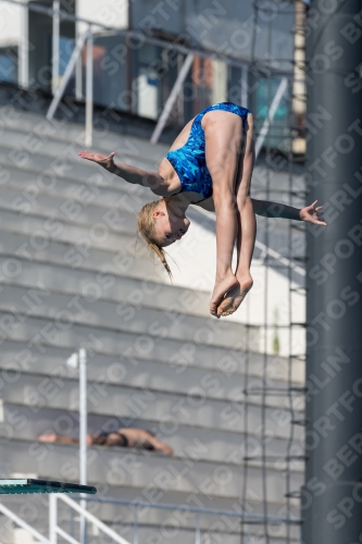 2017 - 8. Sofia Diving Cup 2017 - 8. Sofia Diving Cup 03012_09342.jpg