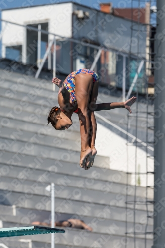 2017 - 8. Sofia Diving Cup 2017 - 8. Sofia Diving Cup 03012_09349.jpg