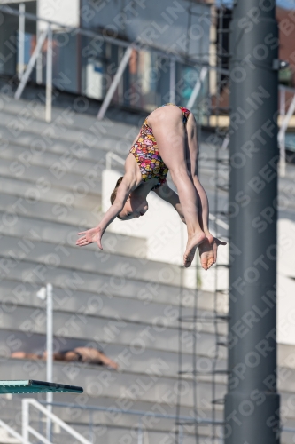 2017 - 8. Sofia Diving Cup 2017 - 8. Sofia Diving Cup 03012_09355.jpg