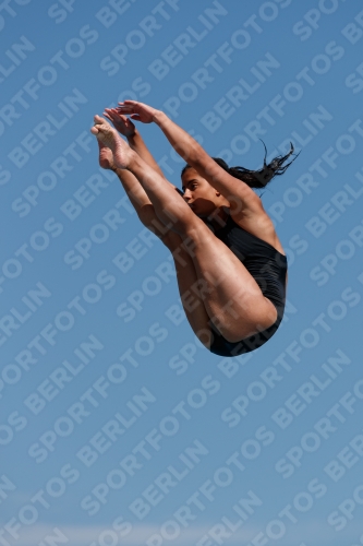 2017 - 8. Sofia Diving Cup 2017 - 8. Sofia Diving Cup 03012_09364.jpg