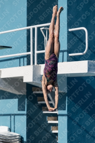 2017 - 8. Sofia Diving Cup 2017 - 8. Sofia Diving Cup 03012_09379.jpg