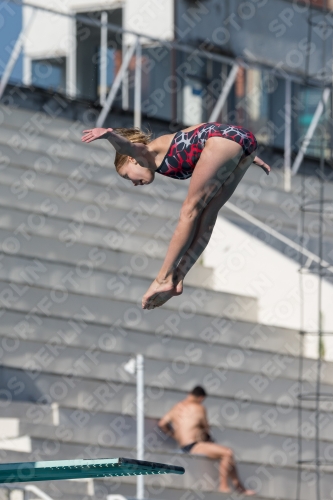 2017 - 8. Sofia Diving Cup 2017 - 8. Sofia Diving Cup 03012_09385.jpg