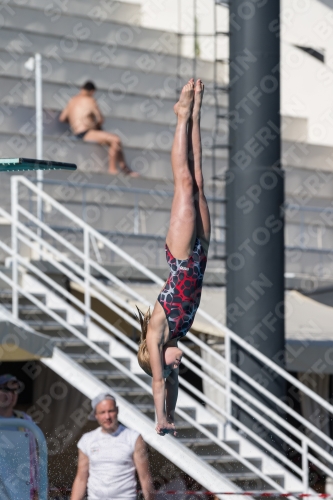 2017 - 8. Sofia Diving Cup 2017 - 8. Sofia Diving Cup 03012_09386.jpg