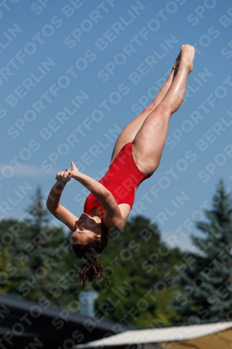 2017 - 8. Sofia Diving Cup 2017 - 8. Sofia Diving Cup 03012_09392.jpg