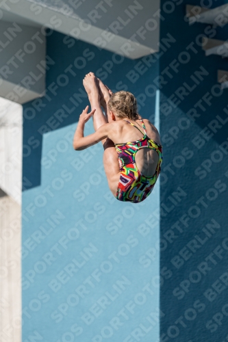 2017 - 8. Sofia Diving Cup 2017 - 8. Sofia Diving Cup 03012_09397.jpg