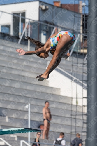 2017 - 8. Sofia Diving Cup 2017 - 8. Sofia Diving Cup 03012_09404.jpg