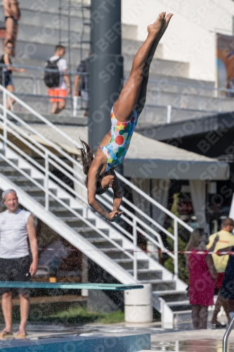 2017 - 8. Sofia Diving Cup 2017 - 8. Sofia Diving Cup 03012_09406.jpg