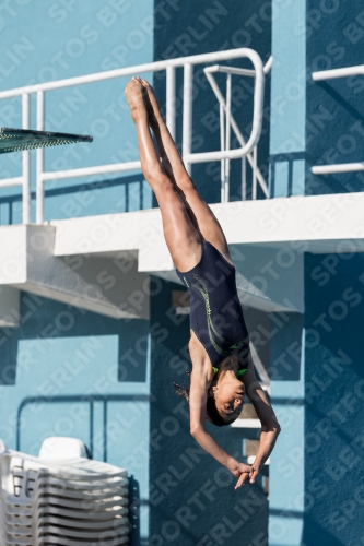 2017 - 8. Sofia Diving Cup 2017 - 8. Sofia Diving Cup 03012_09415.jpg