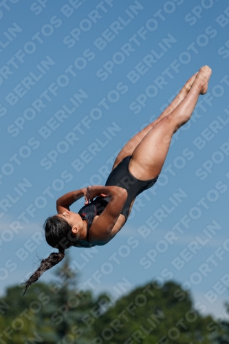 2017 - 8. Sofia Diving Cup 2017 - 8. Sofia Diving Cup 03012_09421.jpg