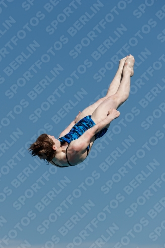 2017 - 8. Sofia Diving Cup 2017 - 8. Sofia Diving Cup 03012_09434.jpg