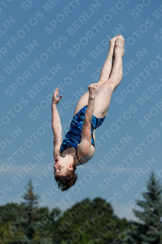 2017 - 8. Sofia Diving Cup 2017 - 8. Sofia Diving Cup 03012_09436.jpg