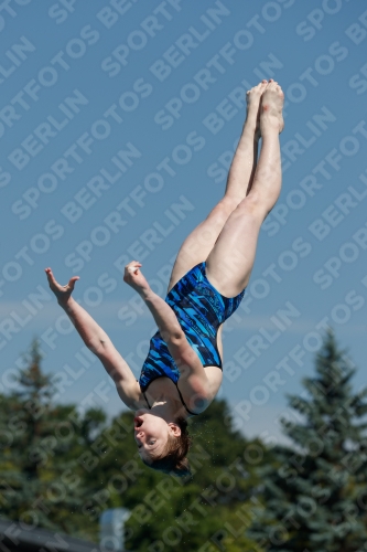 2017 - 8. Sofia Diving Cup 2017 - 8. Sofia Diving Cup 03012_09437.jpg