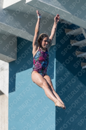 2017 - 8. Sofia Diving Cup 2017 - 8. Sofia Diving Cup 03012_09442.jpg