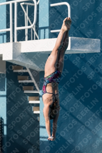 2017 - 8. Sofia Diving Cup 2017 - 8. Sofia Diving Cup 03012_09443.jpg