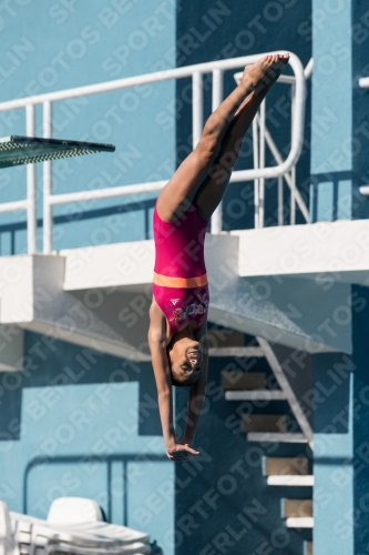 2017 - 8. Sofia Diving Cup 2017 - 8. Sofia Diving Cup 03012_09466.jpg