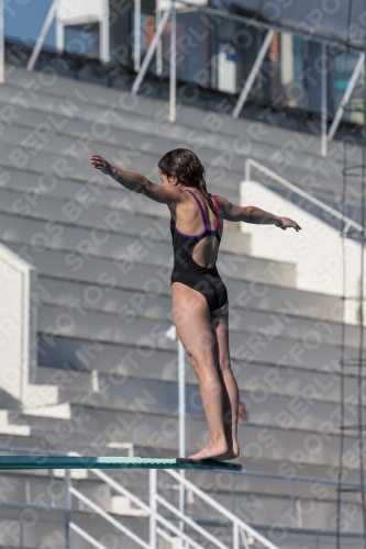2017 - 8. Sofia Diving Cup 2017 - 8. Sofia Diving Cup 03012_09472.jpg