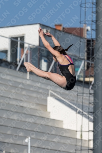 2017 - 8. Sofia Diving Cup 2017 - 8. Sofia Diving Cup 03012_09473.jpg