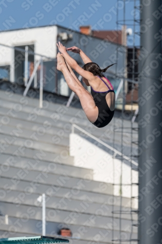 2017 - 8. Sofia Diving Cup 2017 - 8. Sofia Diving Cup 03012_09474.jpg