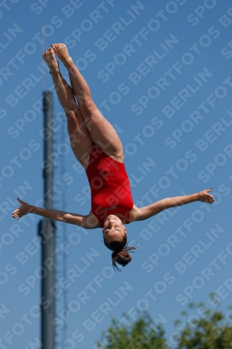 2017 - 8. Sofia Diving Cup 2017 - 8. Sofia Diving Cup 03012_09495.jpg