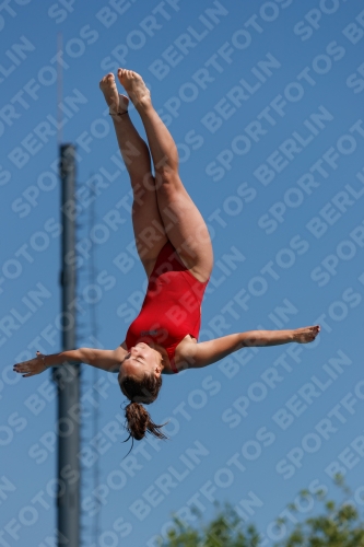 2017 - 8. Sofia Diving Cup 2017 - 8. Sofia Diving Cup 03012_09496.jpg