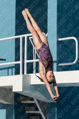 2017 - 8. Sofia Diving Cup 2017 - 8. Sofia Diving Cup 03012_09501.jpg