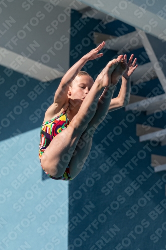 2017 - 8. Sofia Diving Cup 2017 - 8. Sofia Diving Cup 03012_09518.jpg