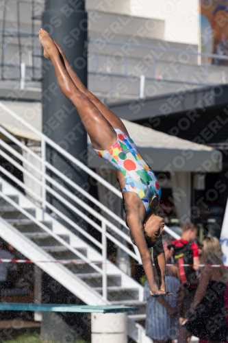 2017 - 8. Sofia Diving Cup 2017 - 8. Sofia Diving Cup 03012_09523.jpg