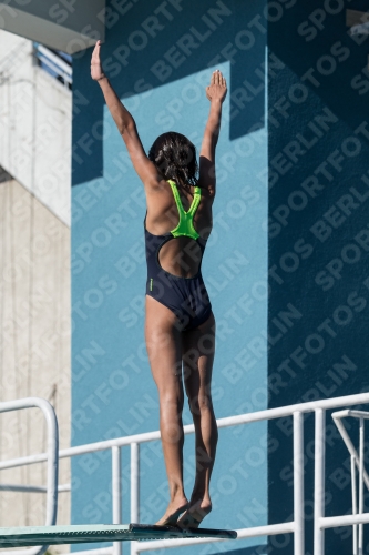 2017 - 8. Sofia Diving Cup 2017 - 8. Sofia Diving Cup 03012_09526.jpg