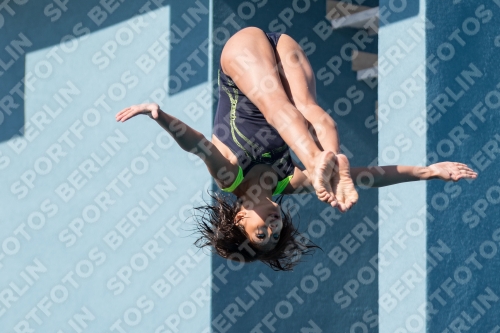 2017 - 8. Sofia Diving Cup 2017 - 8. Sofia Diving Cup 03012_09529.jpg