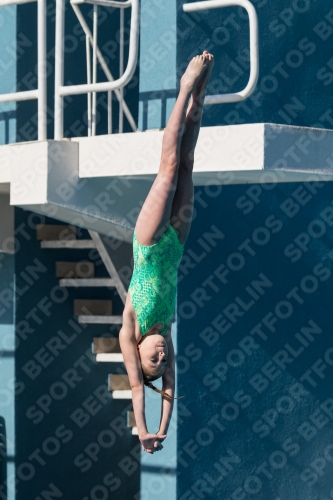 2017 - 8. Sofia Diving Cup 2017 - 8. Sofia Diving Cup 03012_09556.jpg