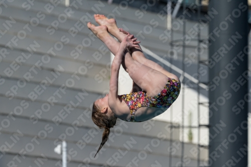 2017 - 8. Sofia Diving Cup 2017 - 8. Sofia Diving Cup 03012_09581.jpg