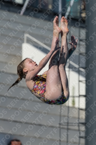 2017 - 8. Sofia Diving Cup 2017 - 8. Sofia Diving Cup 03012_09582.jpg