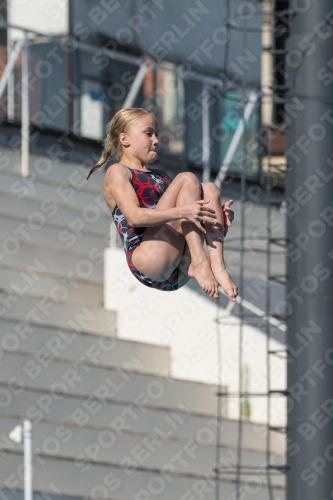2017 - 8. Sofia Diving Cup 2017 - 8. Sofia Diving Cup 03012_09591.jpg