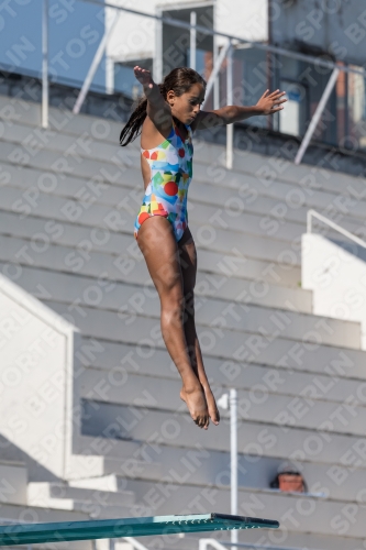 2017 - 8. Sofia Diving Cup 2017 - 8. Sofia Diving Cup 03012_09594.jpg