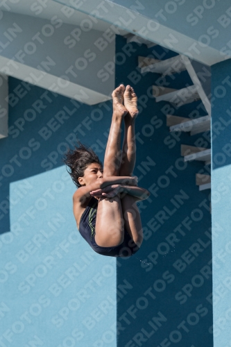 2017 - 8. Sofia Diving Cup 2017 - 8. Sofia Diving Cup 03012_09603.jpg