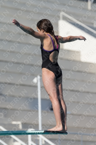 2017 - 8. Sofia Diving Cup 2017 - 8. Sofia Diving Cup 03012_09630.jpg