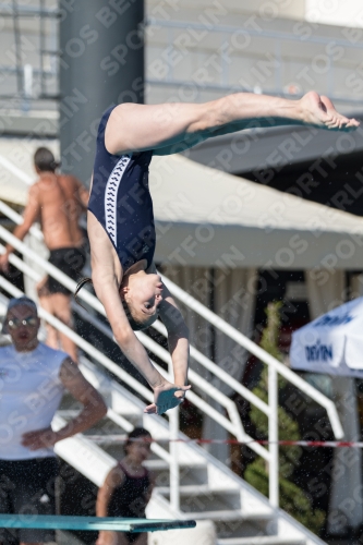 2017 - 8. Sofia Diving Cup 2017 - 8. Sofia Diving Cup 03012_09637.jpg