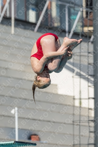 2017 - 8. Sofia Diving Cup 2017 - 8. Sofia Diving Cup 03012_09641.jpg