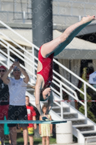 2017 - 8. Sofia Diving Cup 2017 - 8. Sofia Diving Cup 03012_09642.jpg