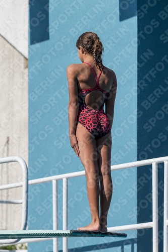 2017 - 8. Sofia Diving Cup 2017 - 8. Sofia Diving Cup 03012_09645.jpg