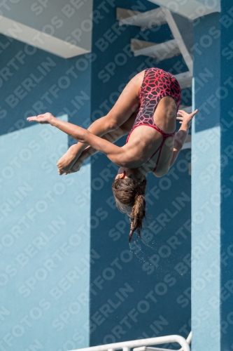 2017 - 8. Sofia Diving Cup 2017 - 8. Sofia Diving Cup 03012_09647.jpg