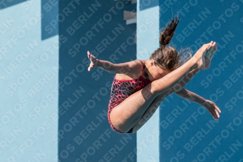 2017 - 8. Sofia Diving Cup 2017 - 8. Sofia Diving Cup 03012_09649.jpg