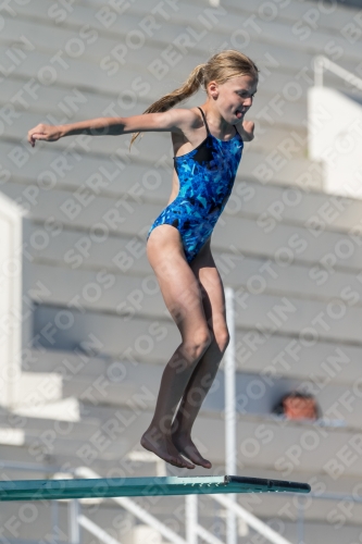 2017 - 8. Sofia Diving Cup 2017 - 8. Sofia Diving Cup 03012_09651.jpg