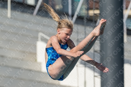 2017 - 8. Sofia Diving Cup 2017 - 8. Sofia Diving Cup 03012_09654.jpg