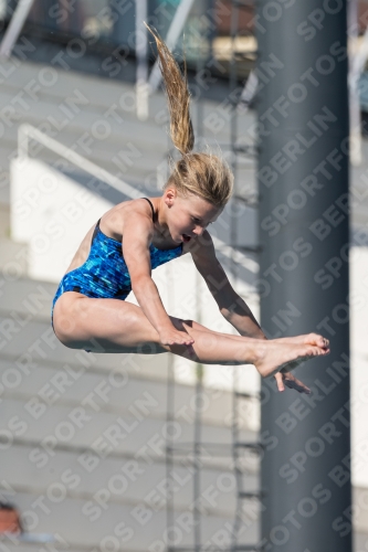 2017 - 8. Sofia Diving Cup 2017 - 8. Sofia Diving Cup 03012_09655.jpg