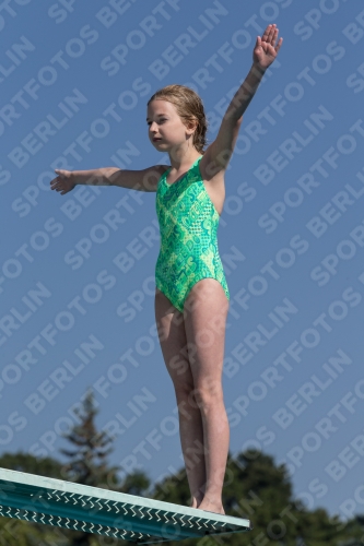 2017 - 8. Sofia Diving Cup 2017 - 8. Sofia Diving Cup 03012_09666.jpg