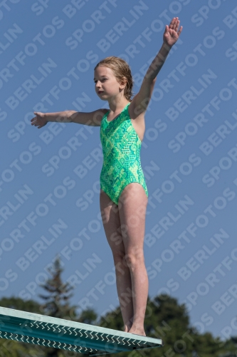 2017 - 8. Sofia Diving Cup 2017 - 8. Sofia Diving Cup 03012_09667.jpg