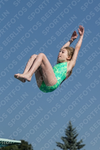 2017 - 8. Sofia Diving Cup 2017 - 8. Sofia Diving Cup 03012_09669.jpg