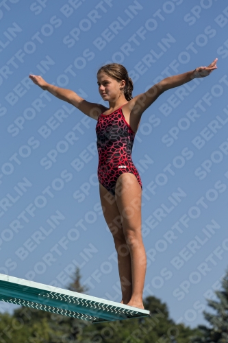 2017 - 8. Sofia Diving Cup 2017 - 8. Sofia Diving Cup 03012_09686.jpg