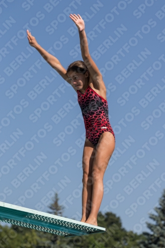 2017 - 8. Sofia Diving Cup 2017 - 8. Sofia Diving Cup 03012_09687.jpg